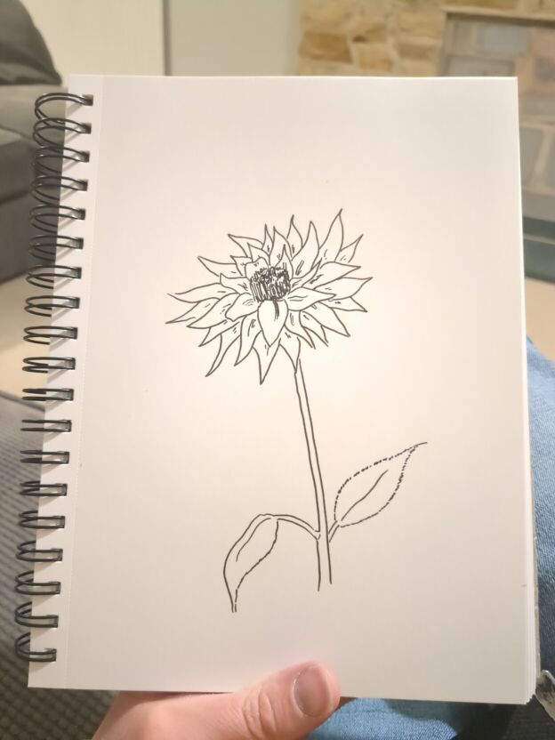 An ink drawing of a dahlia.