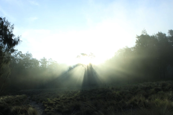 Sunrise at Taman Hidup Lake, Argopuro Mountains