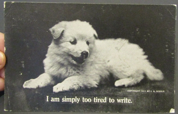 A postcard with an old black-and-white photo of a white puppy dog, with the caption "I am simply too tired to write."