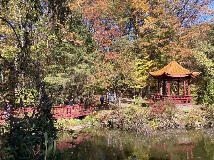 Monastery grounds next to the pond