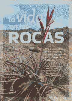 Bookcover of la vida en las rocas