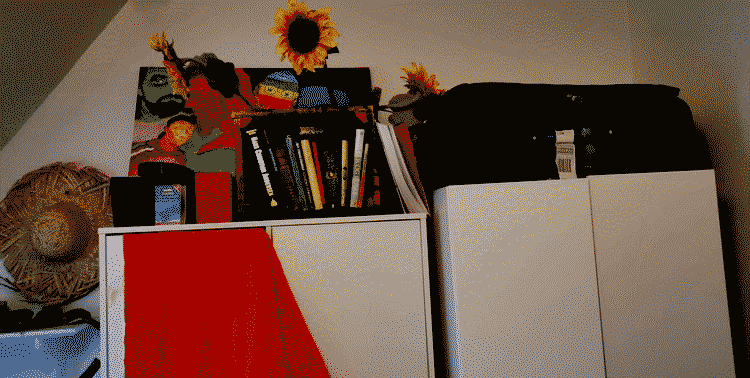 A closet. On top of it, a Bookshelf. In the Bookshelf, Polaris